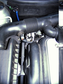 Opel Astra&reg; G (1998-2004): Gesteckter Temperatur-Fühler - Positioniert rechts am grossen Ansaugschlauch.