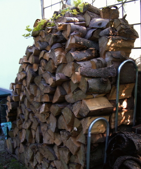Ideal zur Lagerung von Baumabschnitten: Die Kaminholz-Außenlagerung. Ungeziefer und Holzwürmer sind dort eher unproblematisch. Das Holz trocknet übrigens auch ohne Abdeckung.